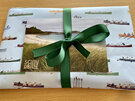 Gift Wrapping - Green Ribbon