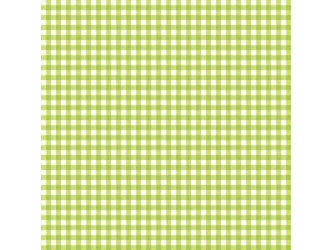 Gingham Check - Kiwi