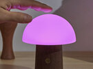 Gingko Alice Mushroom Lamp Mini Walnut