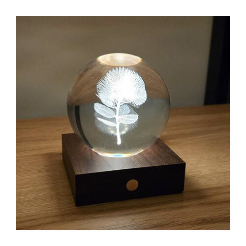 Gingko Amber Crystal Light 3D Laser Engraved Pohutukawa
