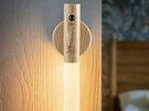 Gingko Baton LED Light White Ash Wood