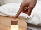 Gingko Design Lemelia Smart LED Light : White Ash Wood