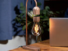 Gingko Evaro Lightbulb Lamp Sculptural Light Walnut