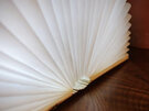 Gingko Large Smart LED Book Light - Walnut