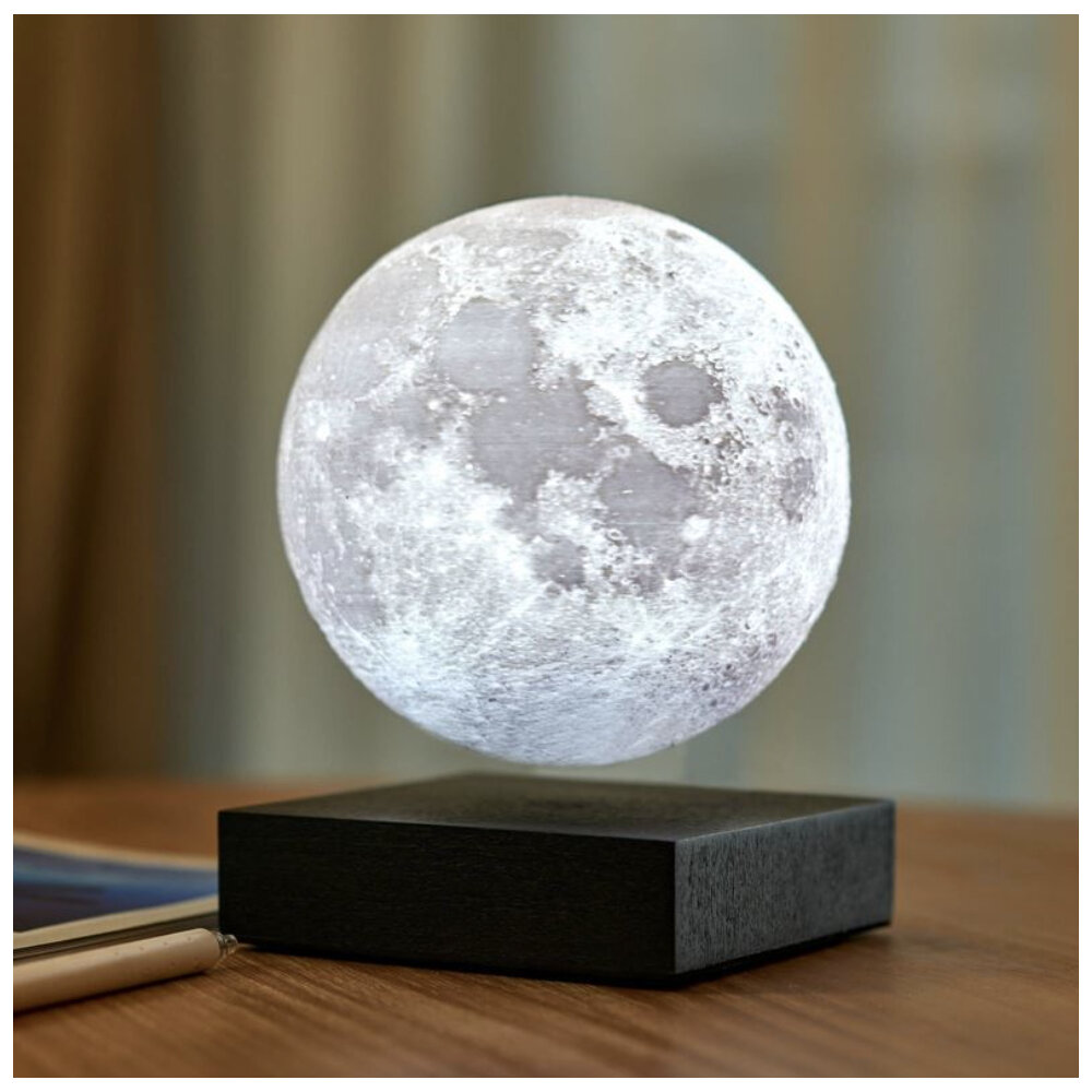 Gingko Levitating Moon Smart Lamp - Black Wood
