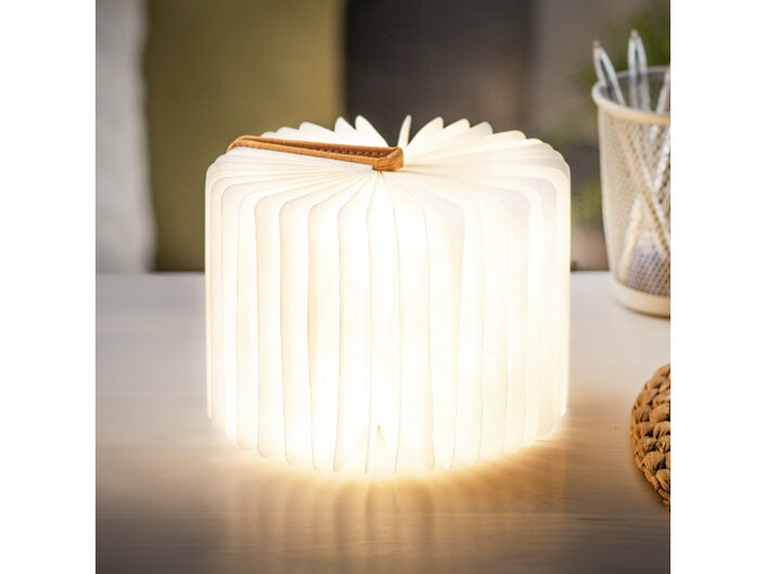 Gingko Smart LED Book Light Mini Harmony Orange