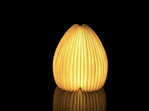 Gingko Smart Vase LED Light Japanese Bamboo