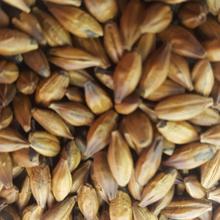 Gladfield Brown Malt