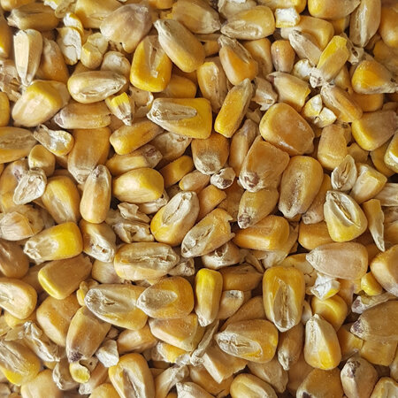 Gladfield Maize Malt