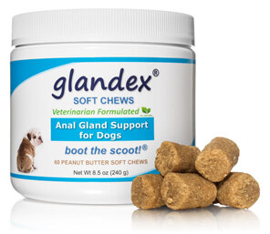 Glandex Soft Dog Chews