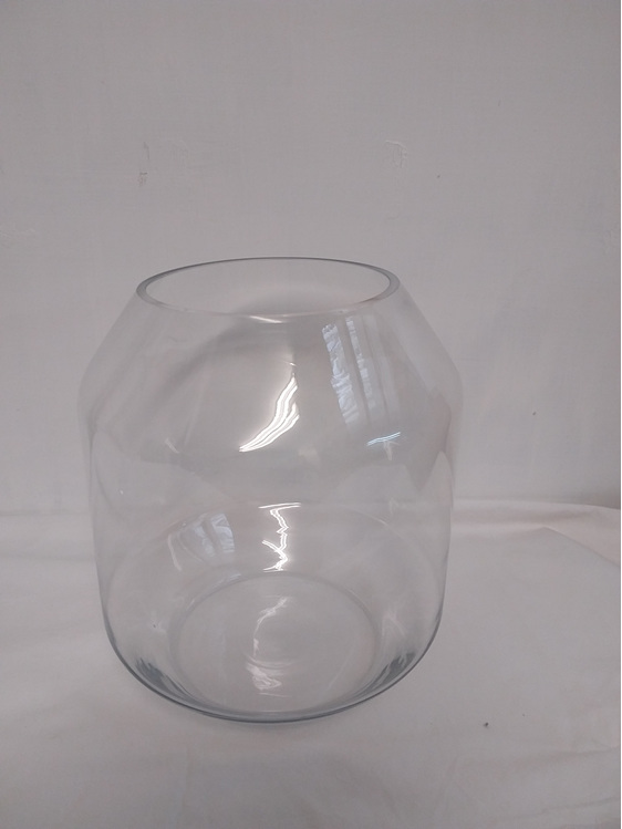 #glass#vase#clear#large#terrarrium