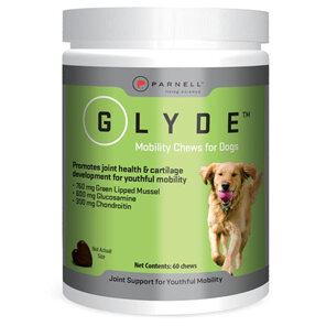 Glyde Joint Health Mobility Chew for Dogs