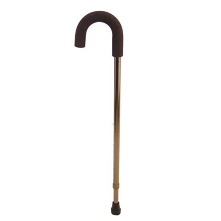 GM Crook Walking Stick Bronze