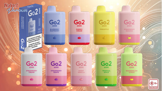 Go2 6500 Puffs Disposable - 2024 -  Range @ Naked Vapour