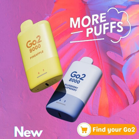 Go2 - 8000 Puffs - Disposable