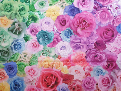 Gradients Parfait-Rainbow Roses-Fantasy