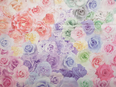 Gradients Parfait-Rainbow Roses-Sherbert Fantasy