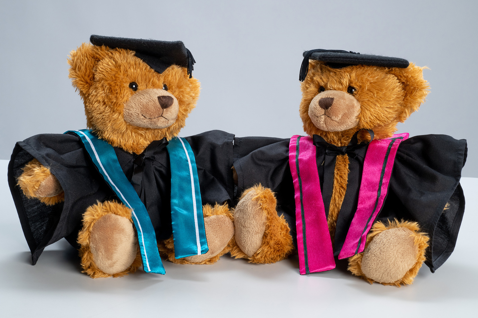 Bear graduation