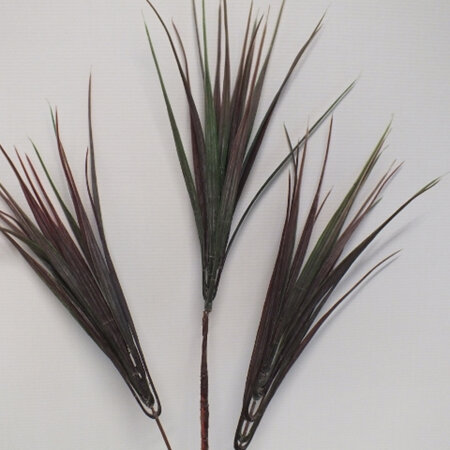 Grass vanilla stem 1200