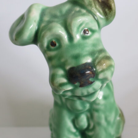 Green terrier