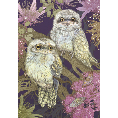 GREETING CARD FROGMOUTHS