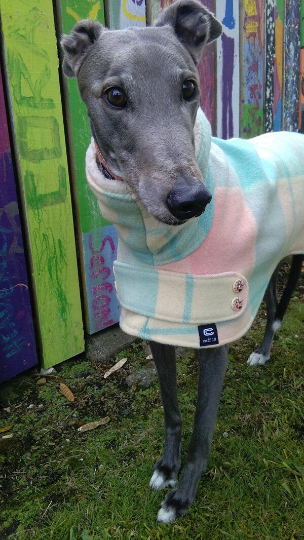 Greyhound gear- magical emporium