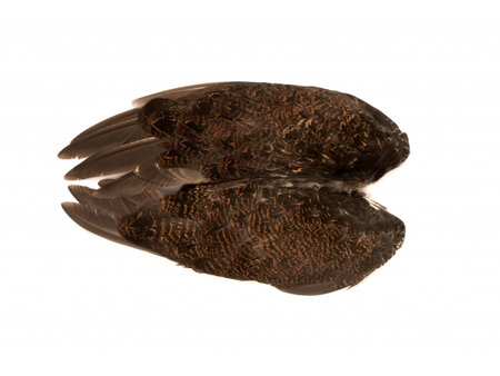Grouse Whole Wings