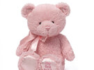 GUND My First Teddy Bear Pink Small 25cm baby