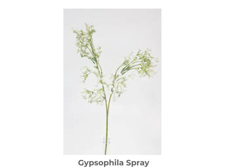 Gypsophila Spray 65cm