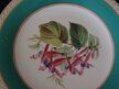 Handpainted fuchsia plate