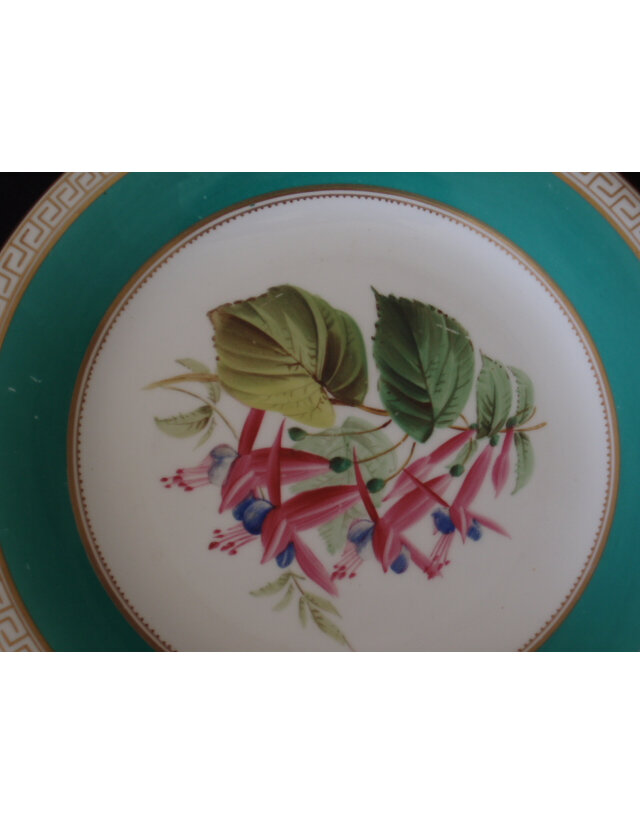 Handpainted fuchsia plate