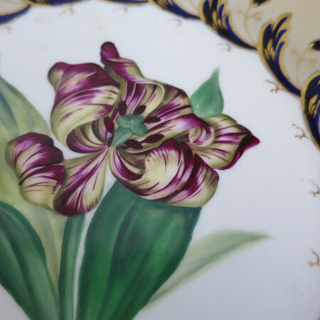 Handpainted tulip