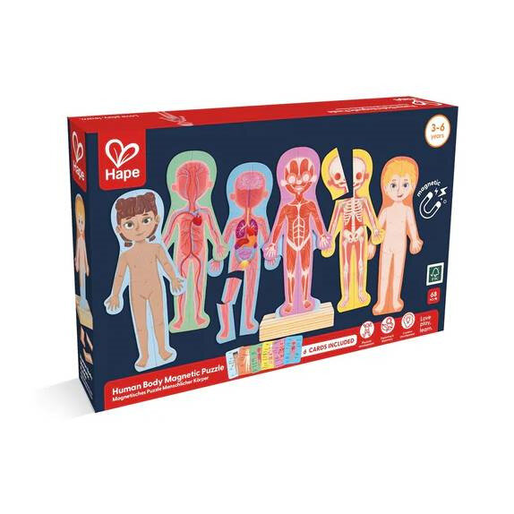 Hape Human Body Magnetic Puzzle