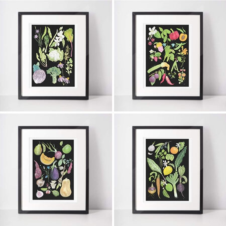 "Harvest Collection" set of 4 Black Background