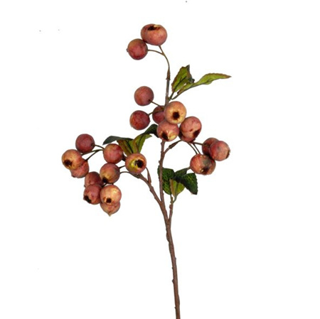 Hawthorn Berry Dusty Plum 4564