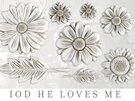 He Loves Me IOD Decor Mould