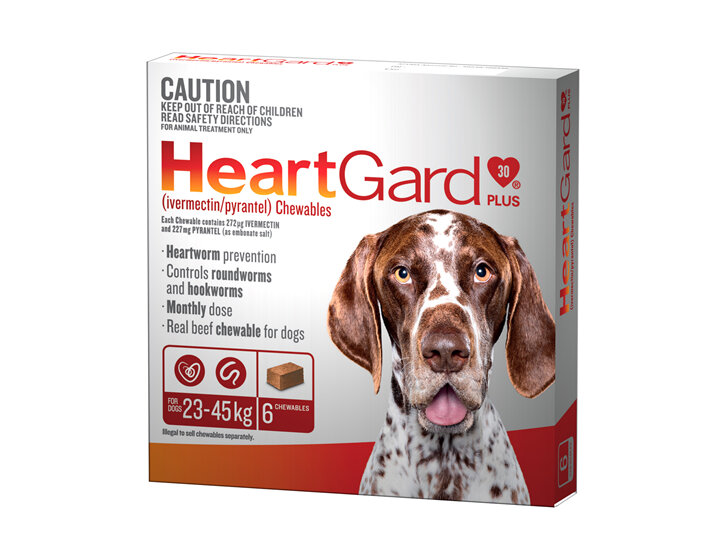 Heartworm Prevention for Dogs