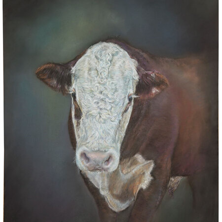 Hereford Bull by Julie Davidson