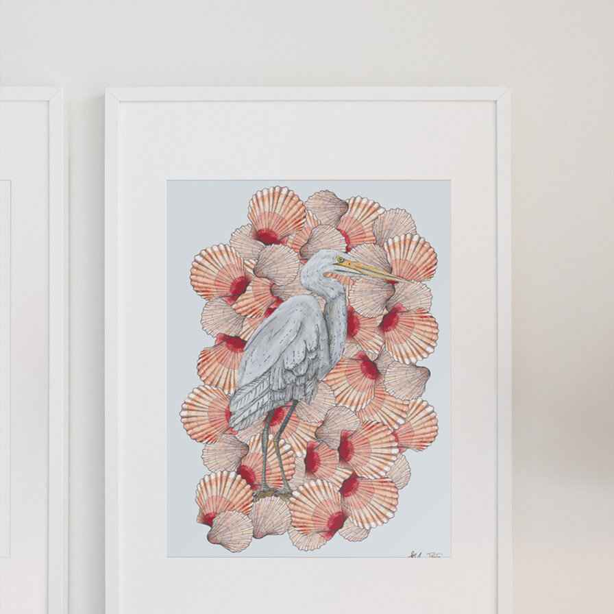 "Heron + Scallops" A4 Print