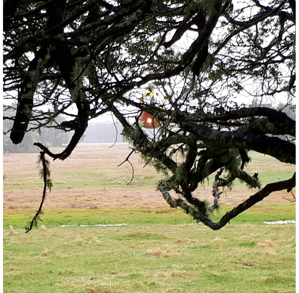 hiking baby helicopter landing rescue