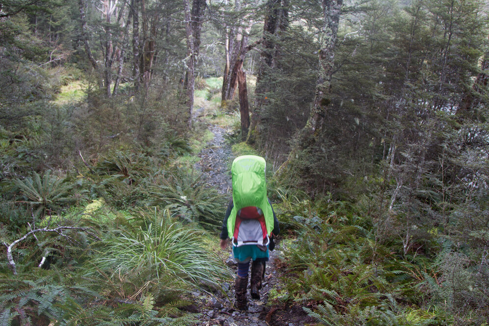 hiking tramping baby carrier rain nz