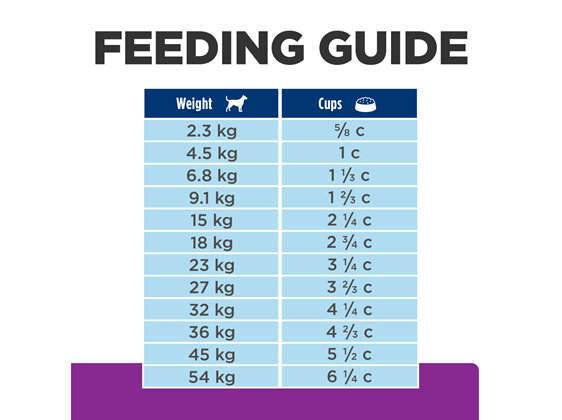 Hill's Prescription Diet b/d Brain Ageing Care Dry Dog Food