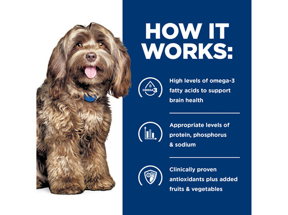 Hill's Prescription Diet b/d Brain Ageing Care Dry Dog Food