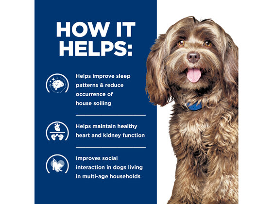 Hill's Prescription Diet b/d Brain Ageing Care Dry Dog Food