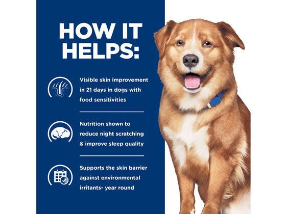 Hill's Prescription Diet Derm Complete Environmental/Food Sensitivities Canned Dog Food 12x370g