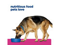 Hill's Prescription Diet Gastrointestinal Biome Digestive/Fibre Care Dry Dog Food