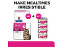 Hill's Prescription Diet Gastrointestinal Biome Digestive/Fibre Care Stew Canned Cat Food 24x82g