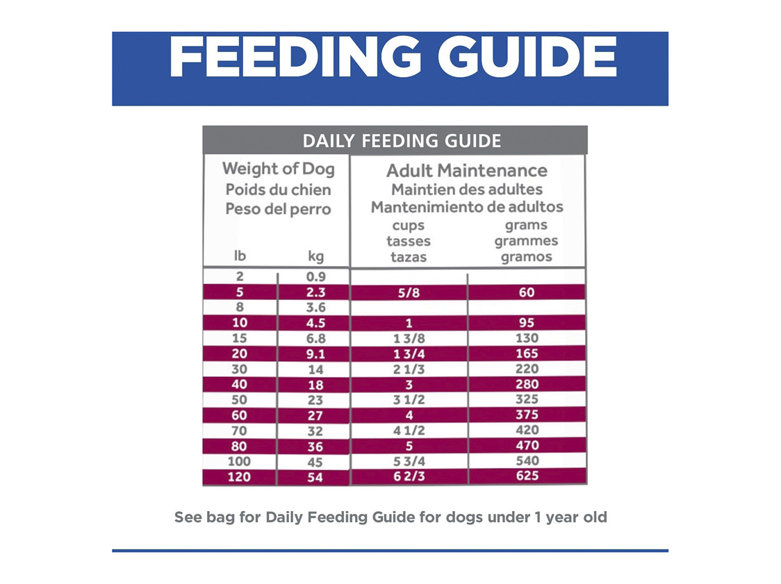 Hill's Prescription Diet i/d Digestive Care Dry Dog Food Normanby