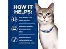 Hill's Prescription Diet k/d Kidney Care Dry Cat Food