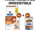 Hill's Prescription Diet k/d Kidney Care Dry Dog Food